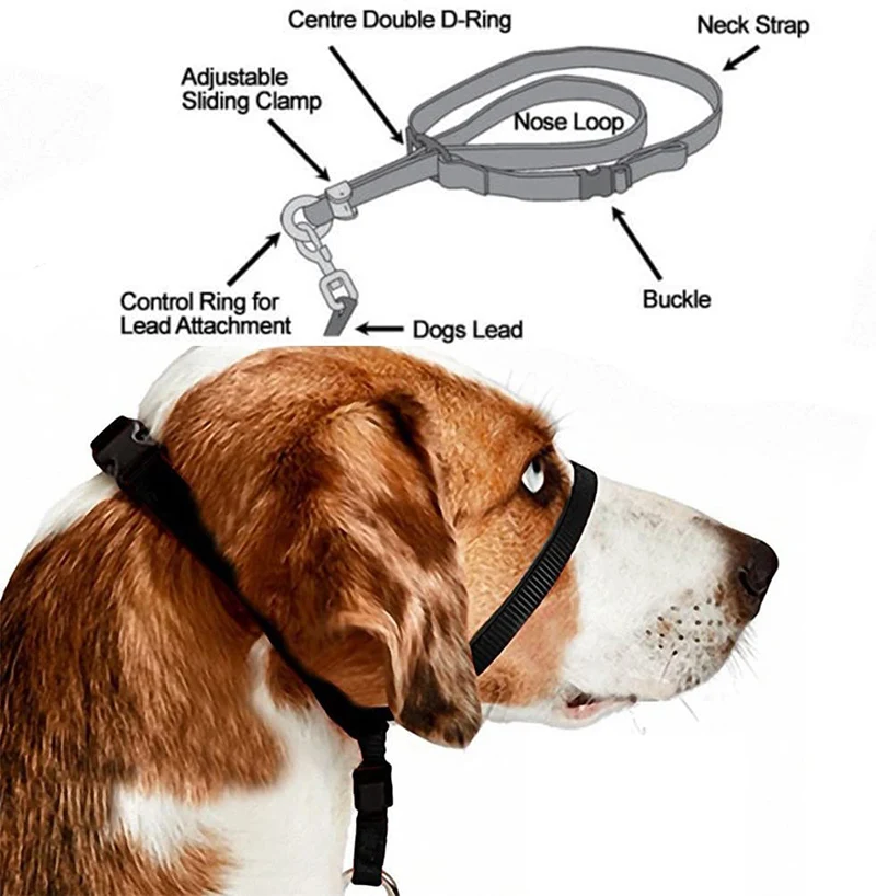 Coleira Ajustável de Nylon para Cães com Guia Suave Anti-Puxão - Image 4