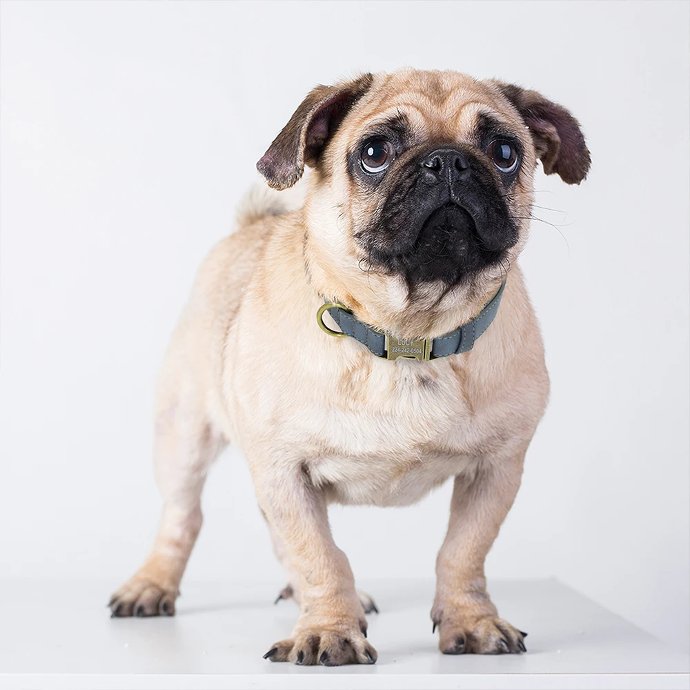 Coleira Personalizada para Cães de Couro PU com Fivela Gravada - Imagem 5