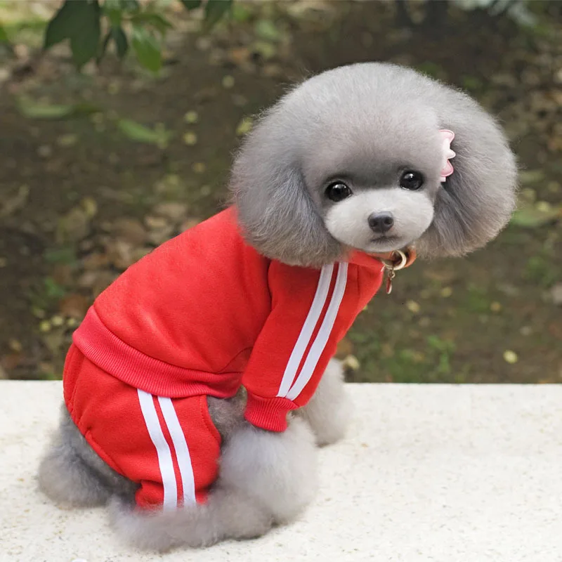 Macacão Adidog para Cães Pequenos de Algodão e Fleece Quente - Imagem 3