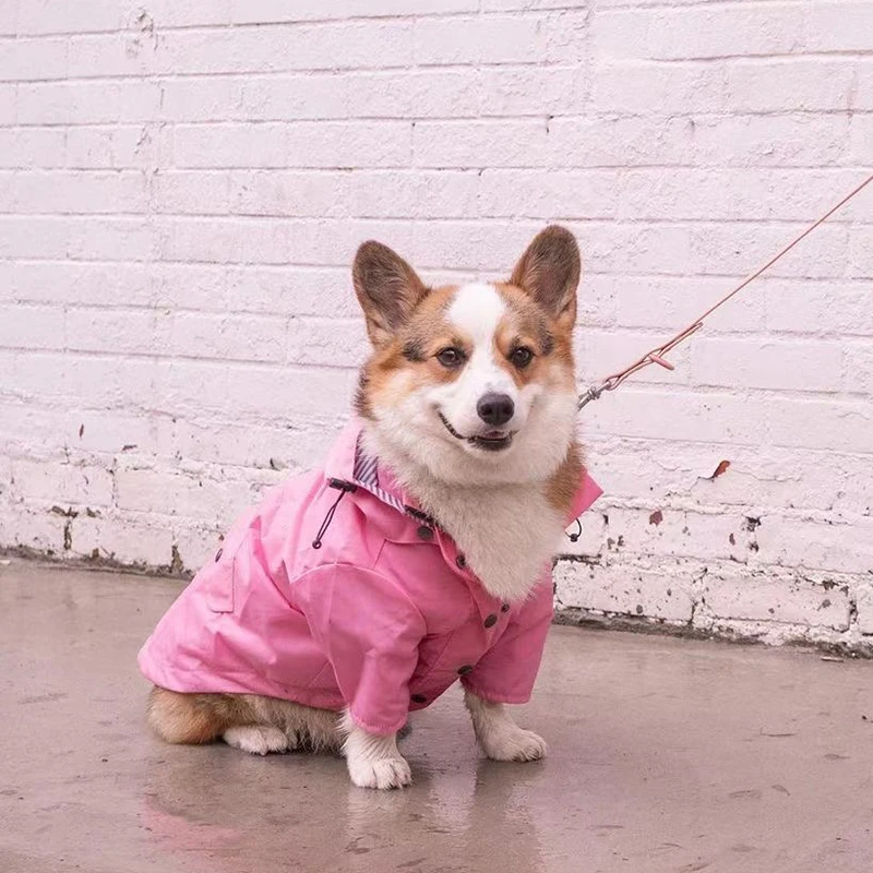 Jaqueta Impermeável para Cães com Capuz Removível e Ajustável - Imagem 5