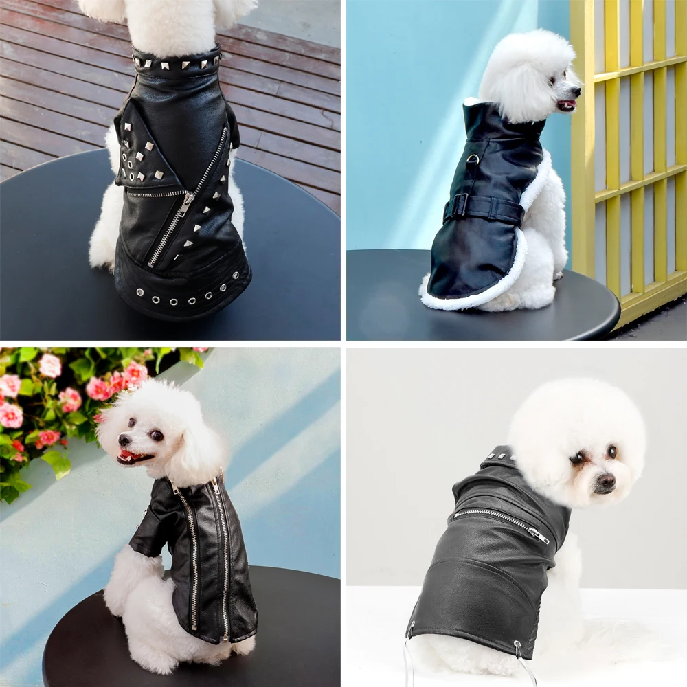 Jaqueta de Couro para Cães Pequenos e Médios Impermeável - Imagem 4