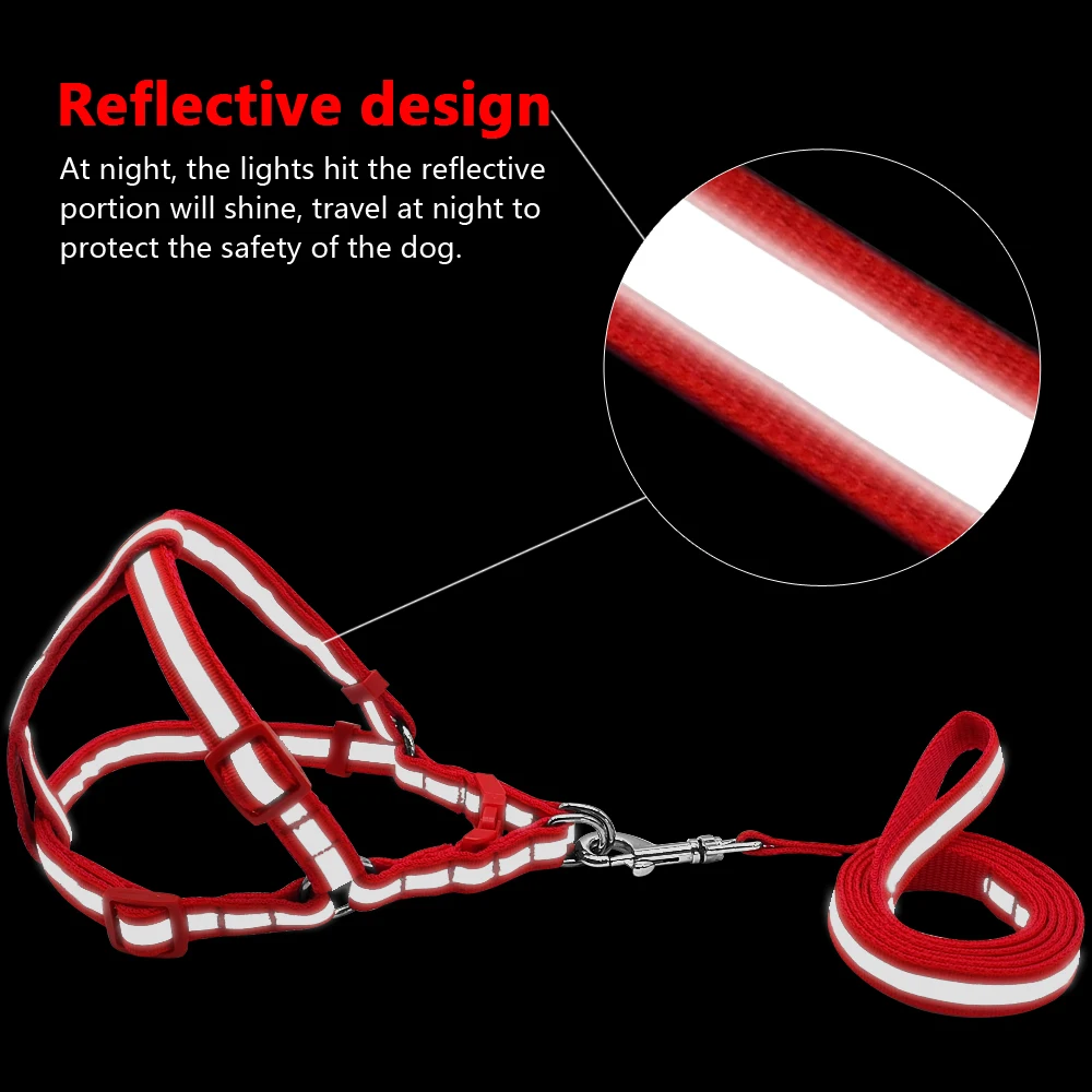 Conjunto Coleira e Guia para Cães Pequenos e Médios Refletivo Nylon - Imagem 2