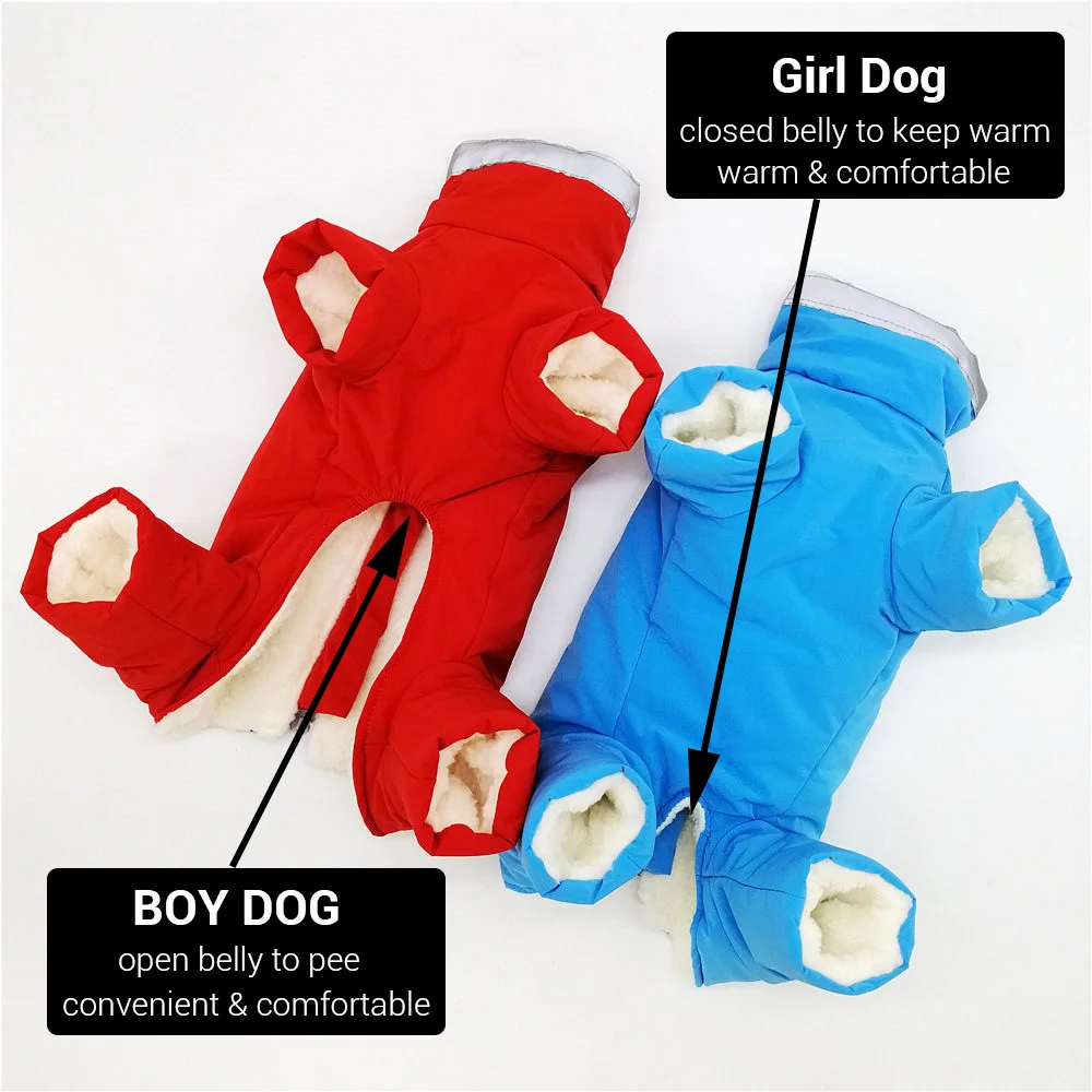 Macacão para Cães Pequenos Impermeável Reflexivo com Zíper - Imagem 3