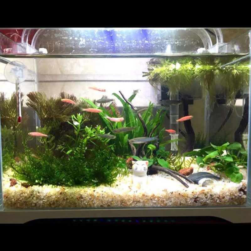 Areia de Fundo para Aquário Natural 500g para Paisagismo - Imagem 6