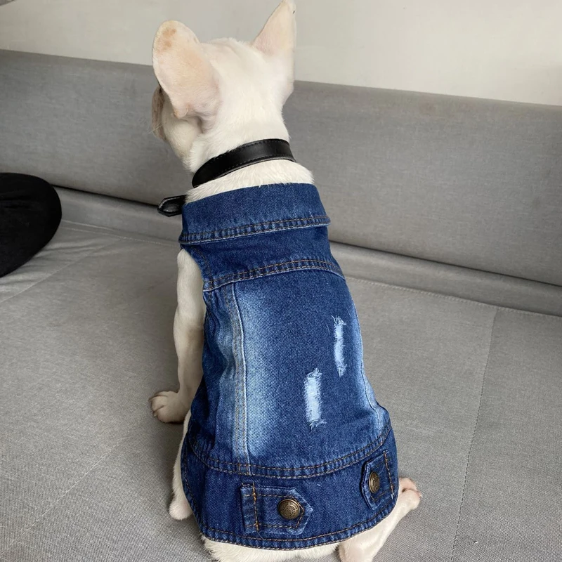 Colete Jeans para Gatos e Cães Pequenos de Algodão Lavável - Imagem 4