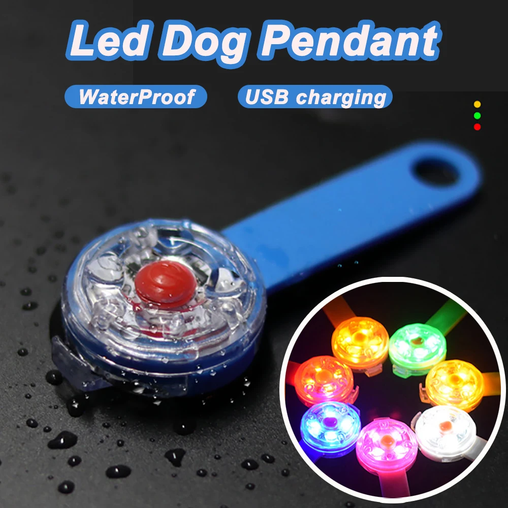 coleira led para cães e gatos