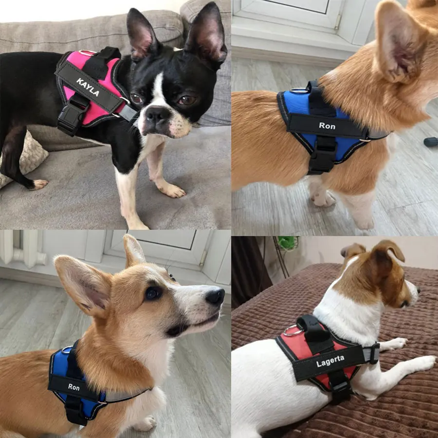 Colete Peitoral para Cães Ajustável com Faixa Refletiva - Imagem 4