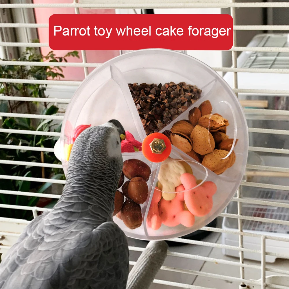 Brinquedo Alimentador para Papagaios 13 cm com Parafuso para Fixar - Imagem 4