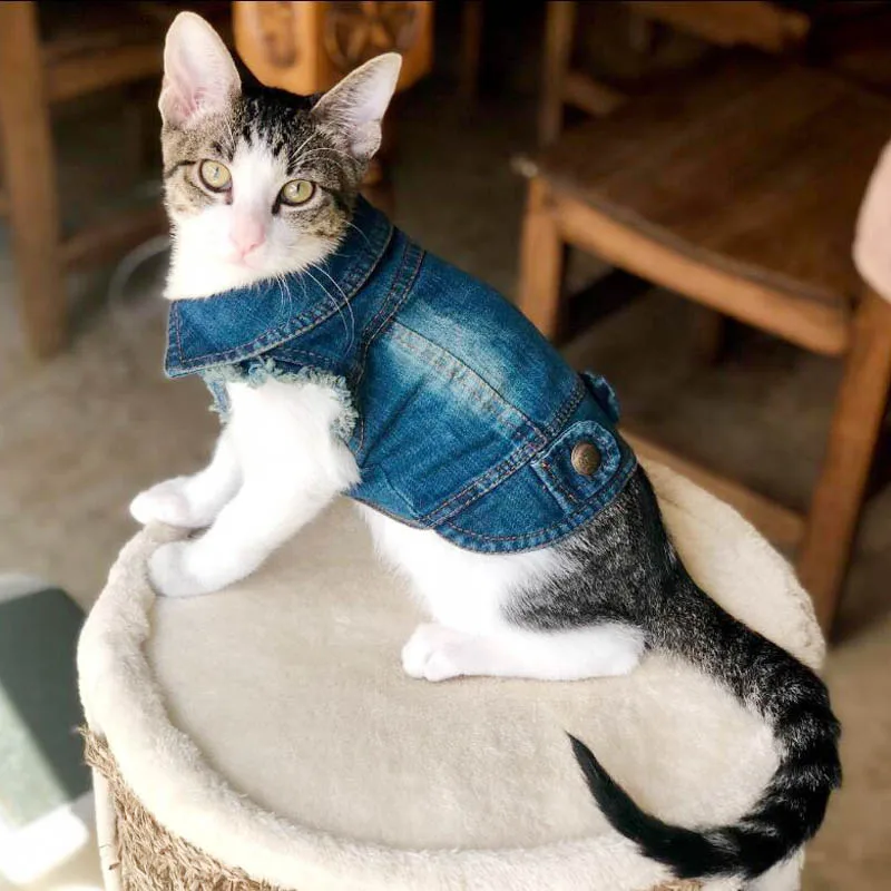 Colete Jeans para Gatos e Cães Pequenos de Algodão Lavável - Imagem 2