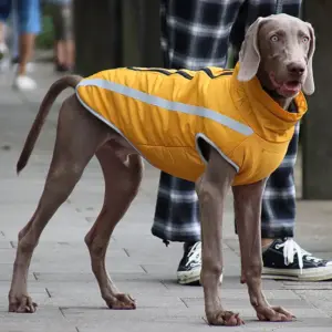 casaco refletivo para cães grandes
