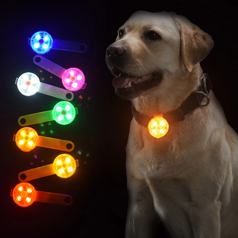 Coleira LED para Cães e Gatos IPX7 à Prova D'Água para Passeio Noturno - Imagem 2