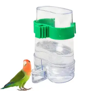 bebedouro automático para pássaros transparente