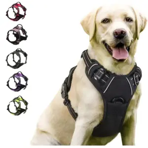 coleira de couro para cães
