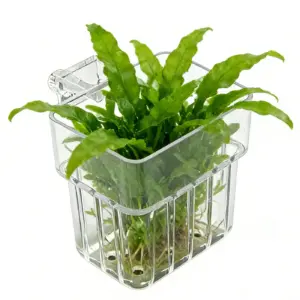 suporte para plantas de aquário transparente