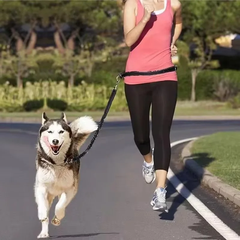 Coleira Mãos Livres para Cães Ajustável para Passeio e Corrida - Image 2
