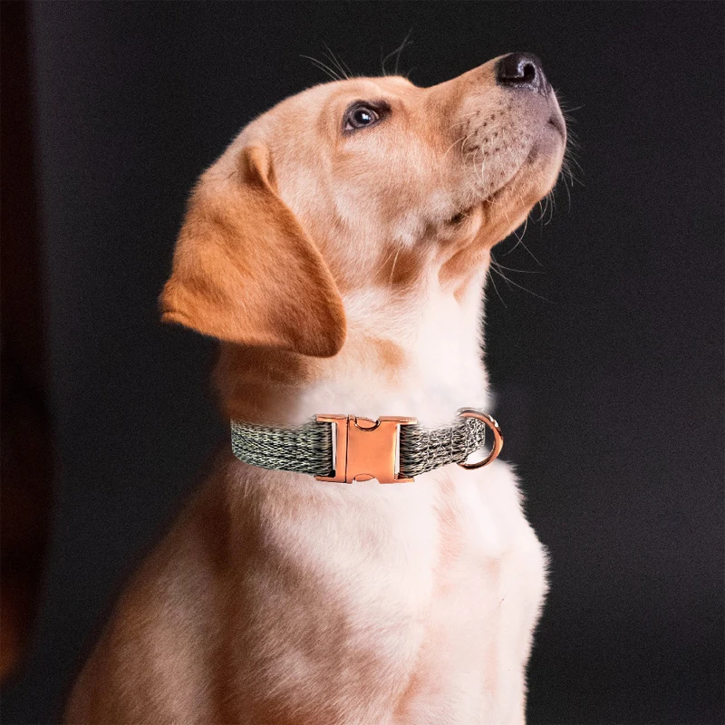 Coleira e Guia para Cães de Nylon Ajustável com Fivela de Metal - Imagem 6