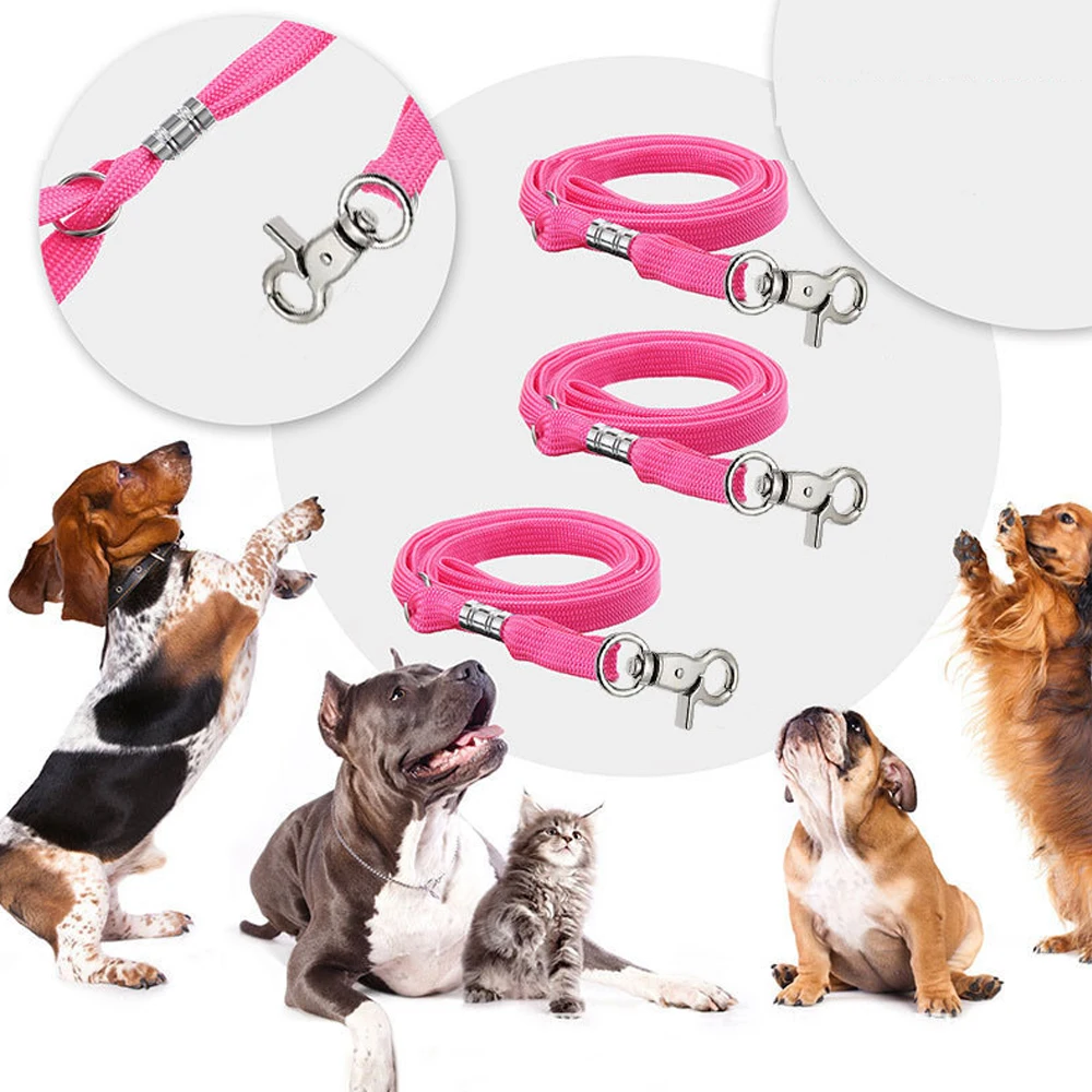 Laço de Nylon para Tosa e Banho de Cães e Gatos Ajustável - Imagem 3