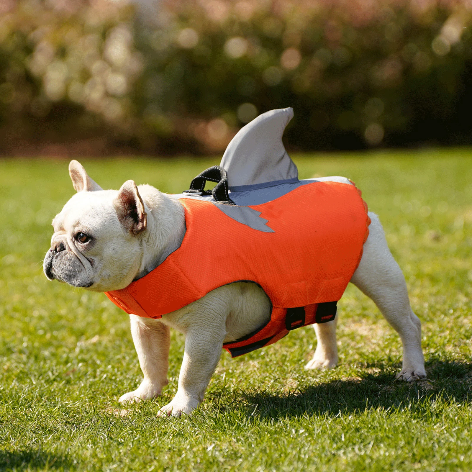 Colete Salva-Vidas para Cães com Alça de Resgate Ajustável - Imagem 5