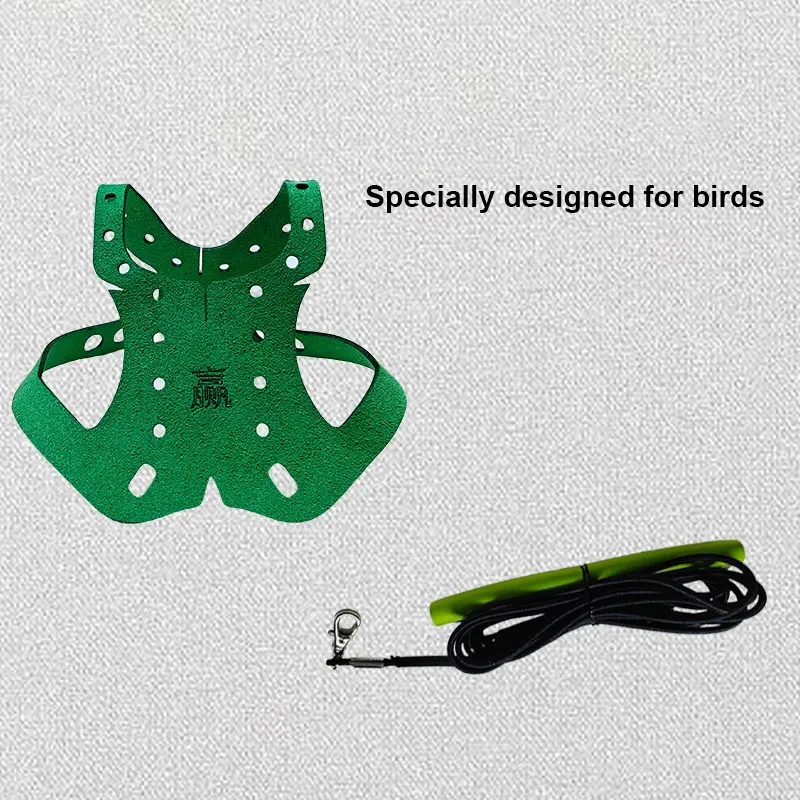 Coleira e Guia para Pássaros: Papagaio, Pombo, com Corda de Tração Resistente - Imagem 5