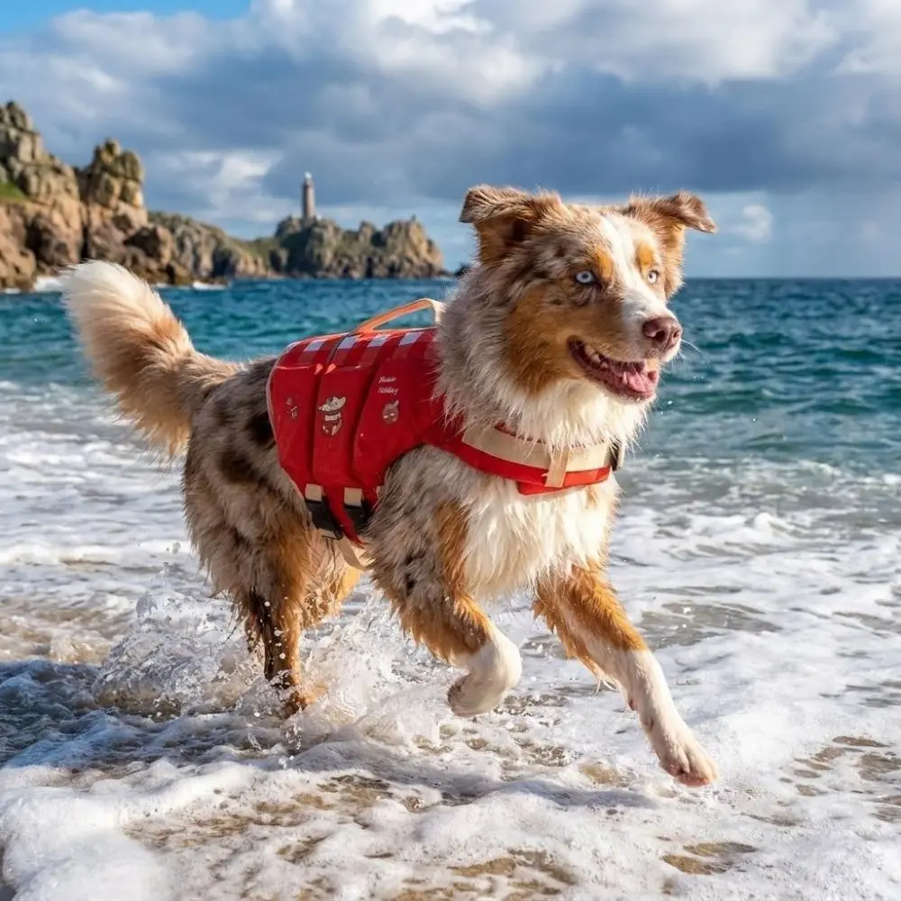 Colete Salva-Vidas para Cães de Poliéster Ajustável para Natação - Image 3