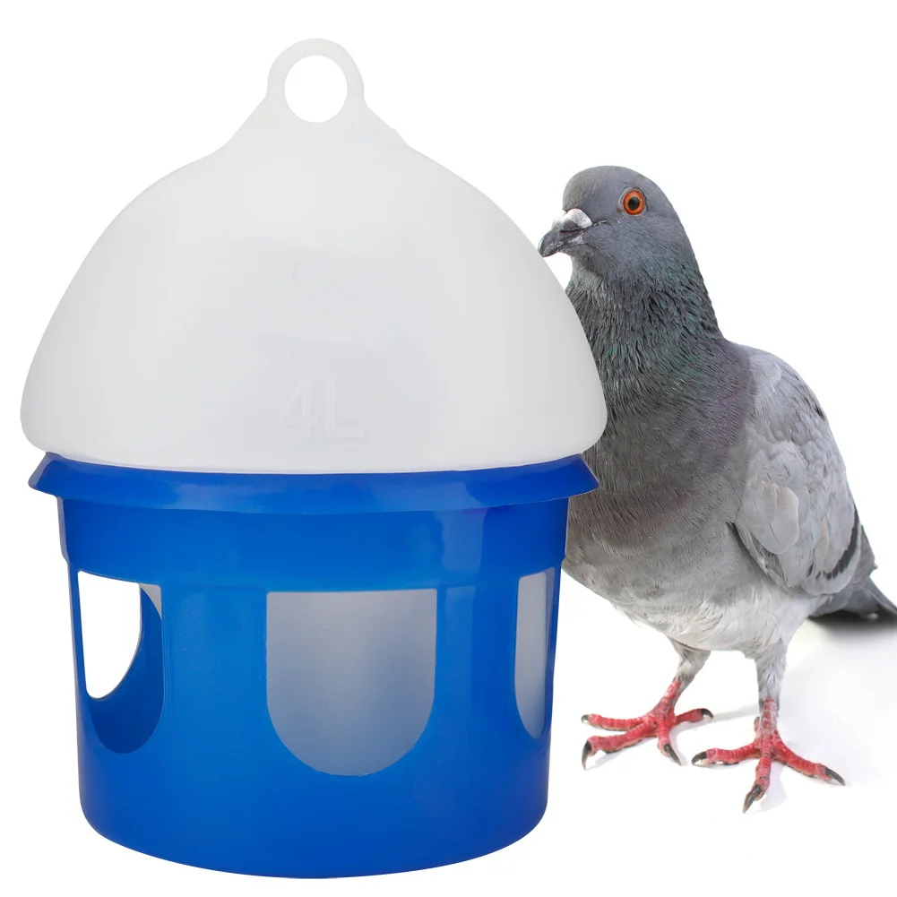 Bebedouro Automático para Pássaros e Pombos 2L com Tampa Inclinada - Imagem 4