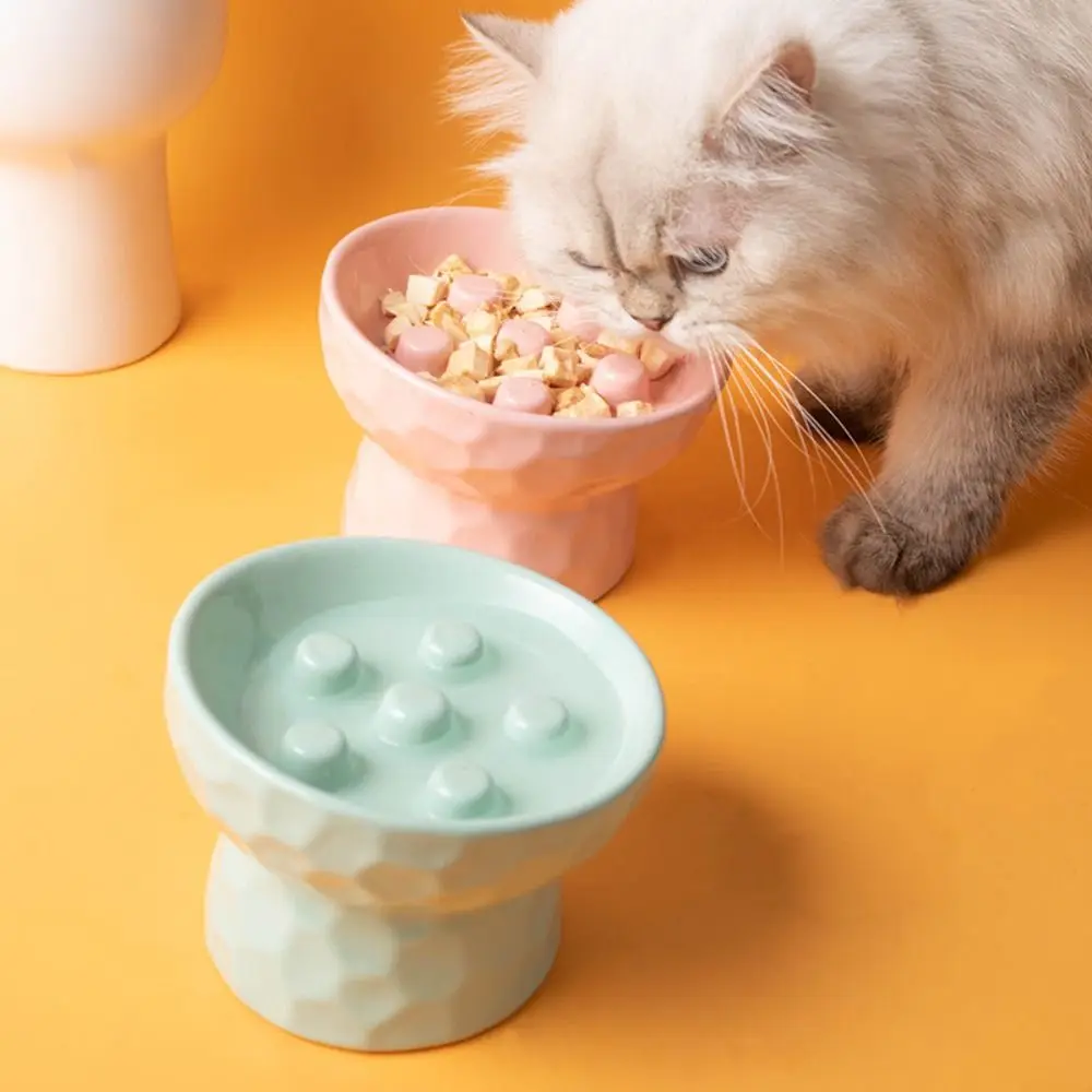 Tigela de Cerâmica para Gatos Alimentação Lenta Antiderrapante - Image 2