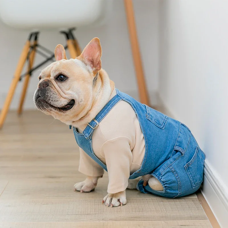 Casaco Jeans para Cães Outono Inverno, Moda Pet - Imagem 6