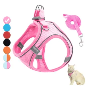 arnês refletivo para cães com guia