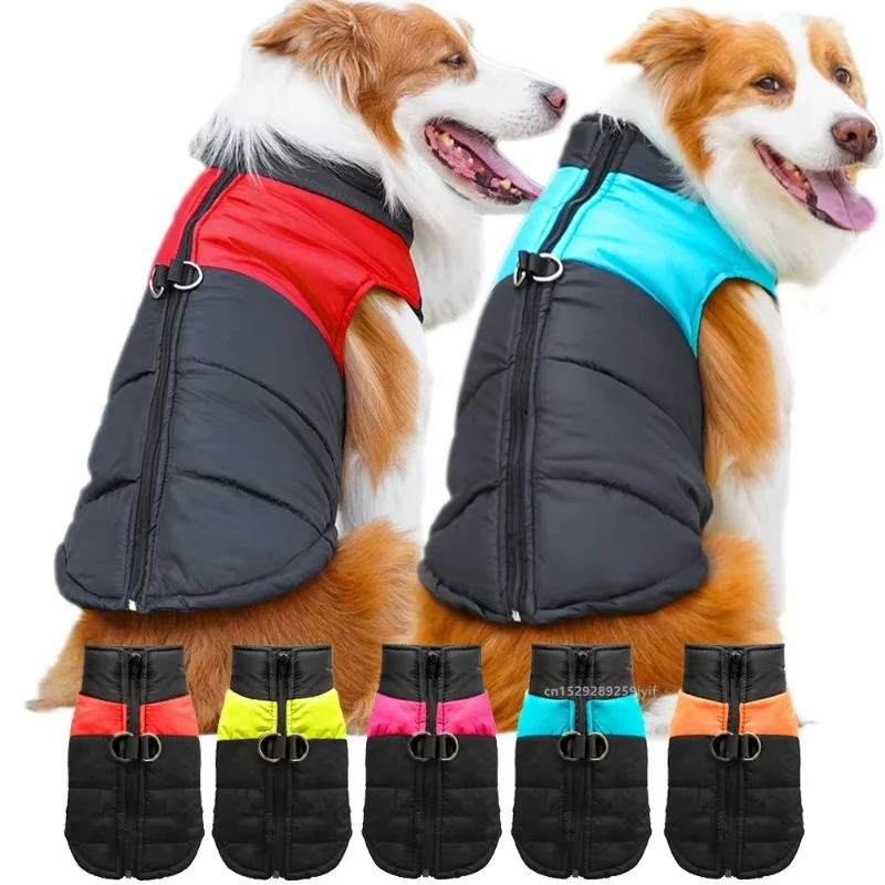 casaco acolchoado para cães