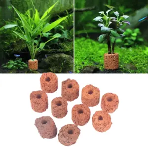 anel de cerâmica para plantas de aquário