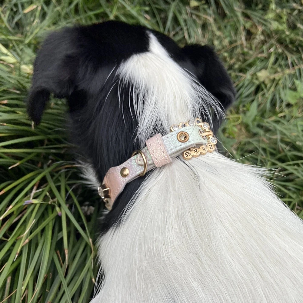 Coleira de Couro Sintético para Cães e Gatos com Strass - Imagem 5