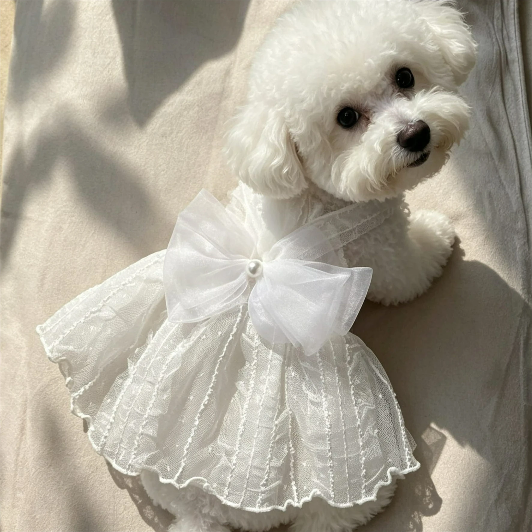 Vestido de Princesa para Cães e Gatos Pequenos de Poliéster - Image 3
