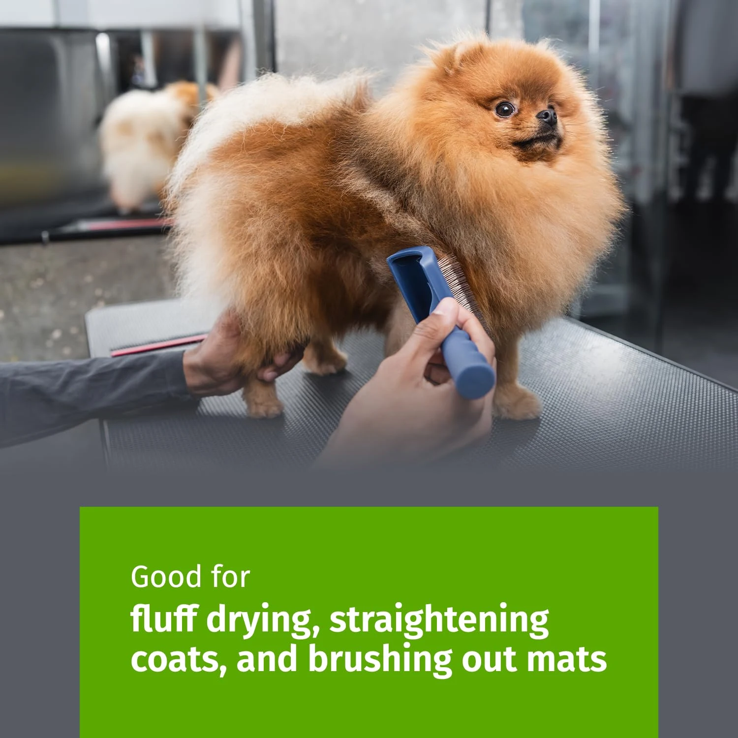 Escova Cortadora para Cães e Gatos com Pinos Longos e Flexíveis - Imagem 6