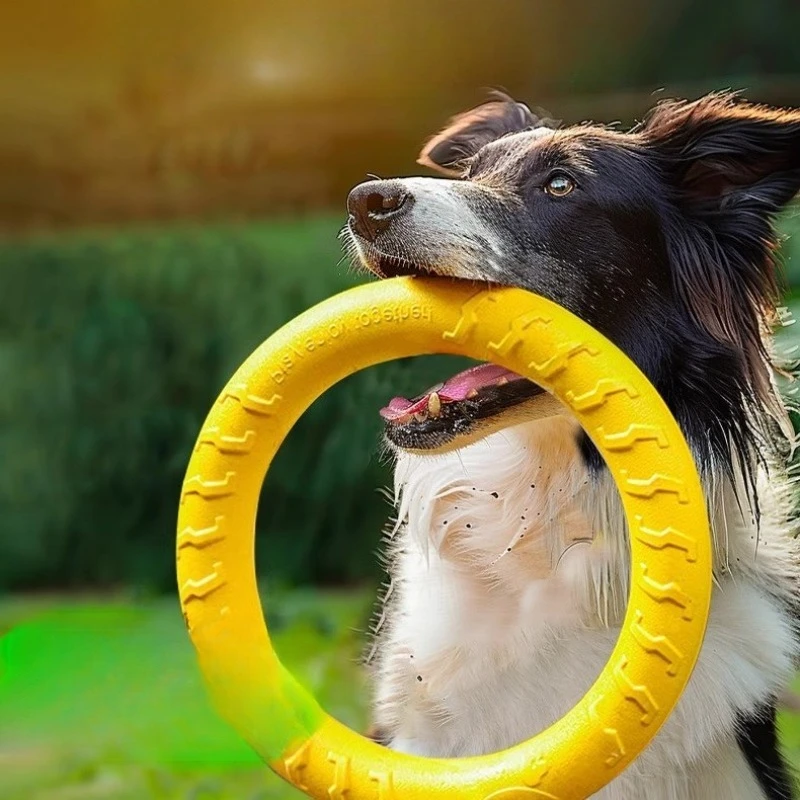 Brinquedo de Argola para Cães para Lançar e Capturar - Imagem 2