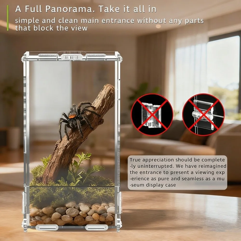 Terrário de Acrílico para Aranha Saltadora 12x12x20 cm com Ventilação - Image 3