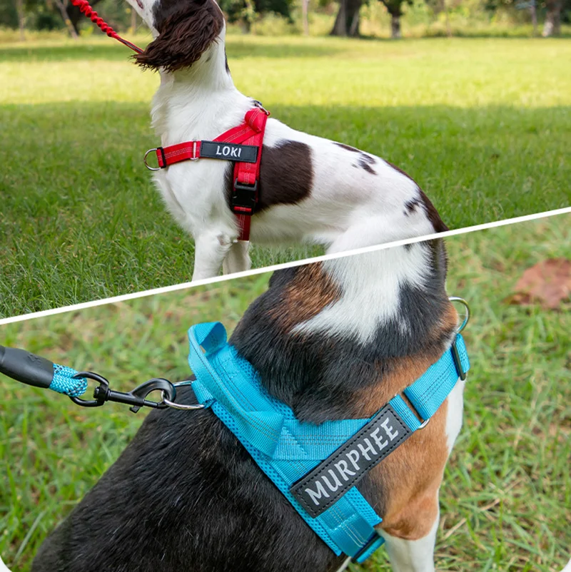 Arnês para Cães Ajustável Refletivo para Passeio Personalizável - Imagem 4