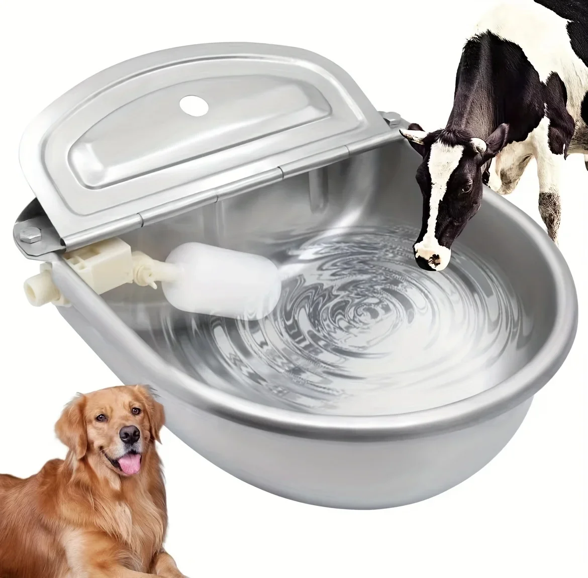 tigela dispensadora automática para cães e gatos