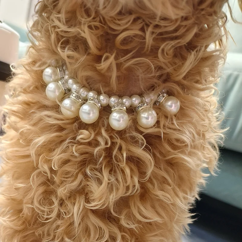 Colar para Cães e Gatos Pequenos com Pingente de Pérola e Strass - Imagem 3