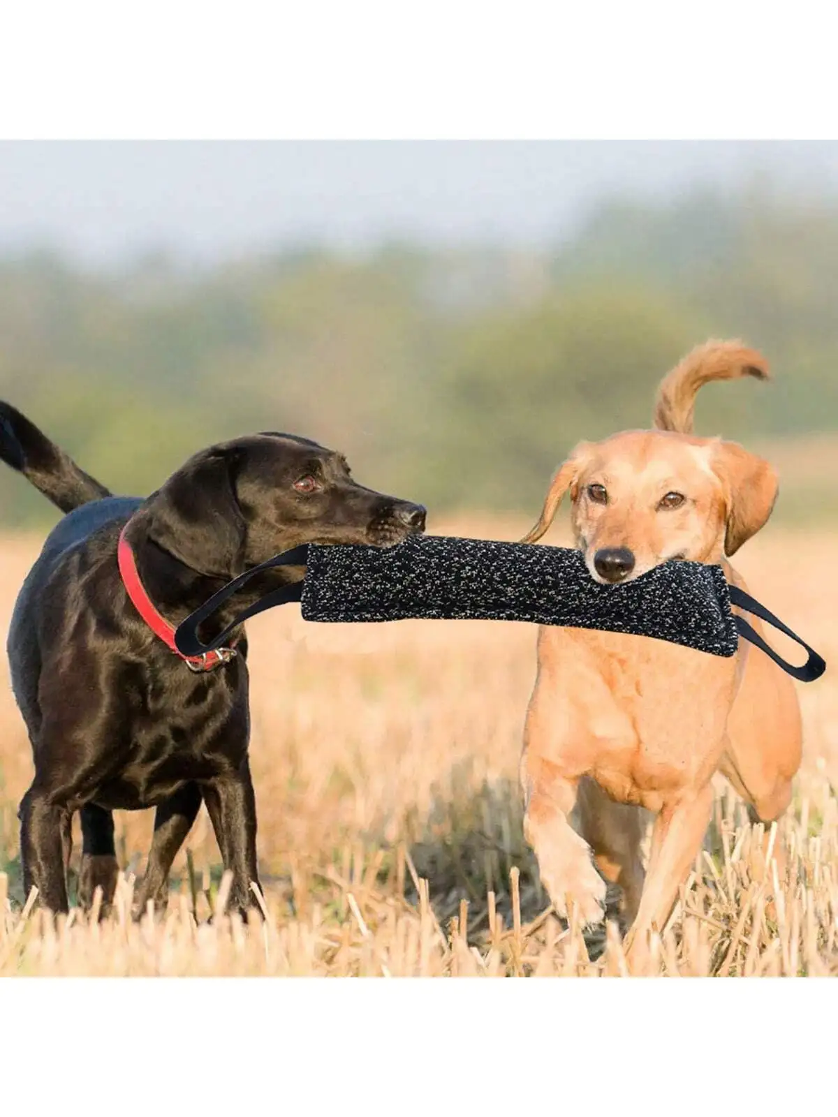 Brinquedo Tug para Cães com Alça Refletiva - Imagem 2