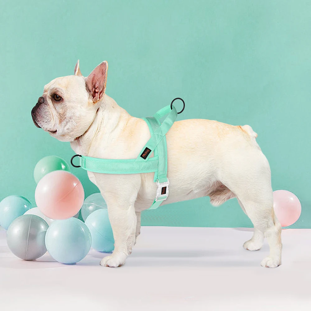 Coleira Peitoral para Cães de Nylon Ajustável sem Puxar Roxo - Image 5