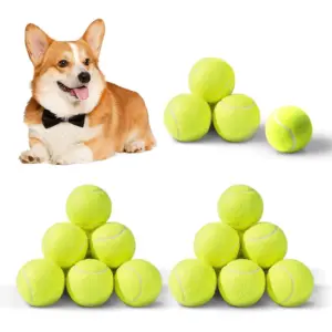 lançador de bolas para cães