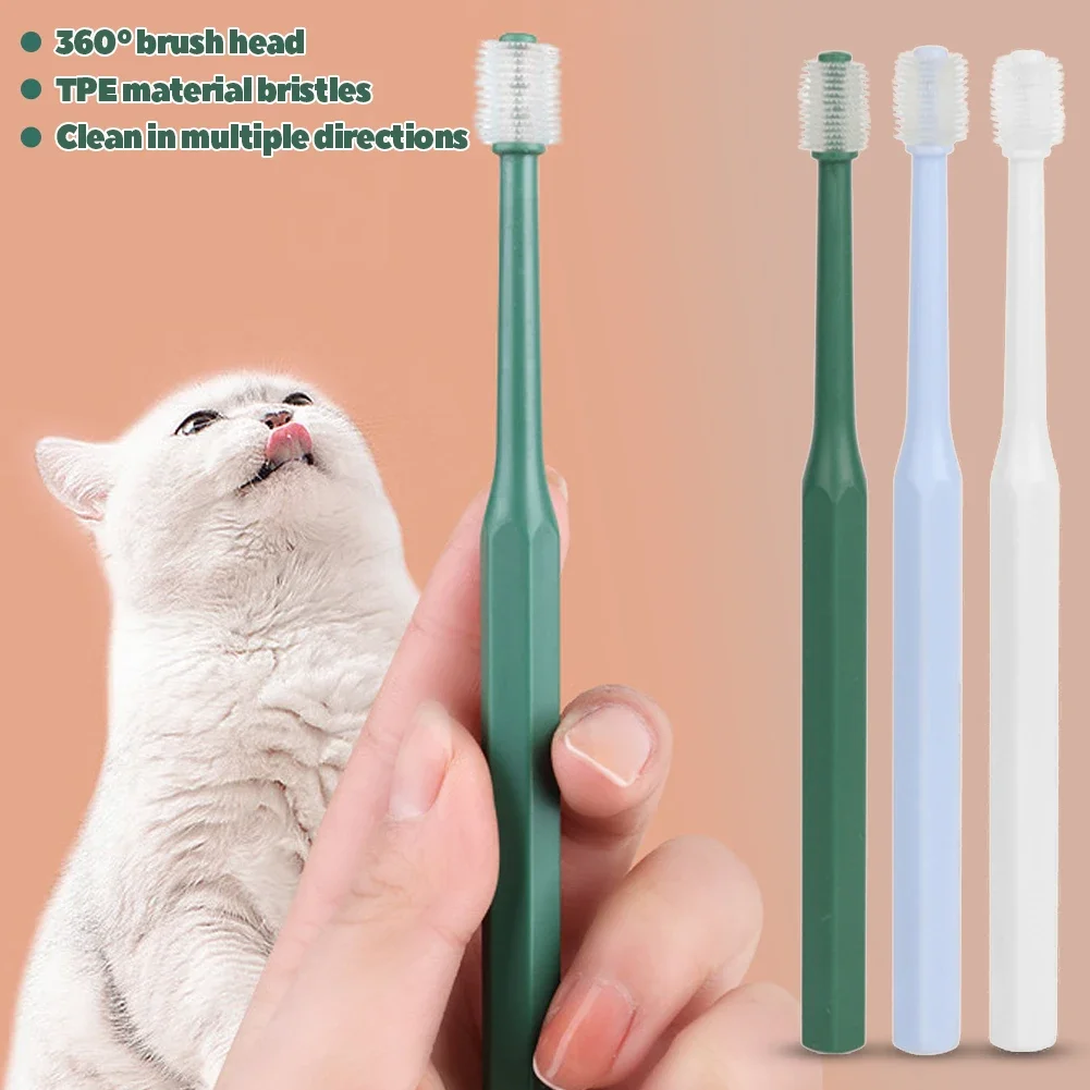 escova de dentes para gatos e cães pequenos