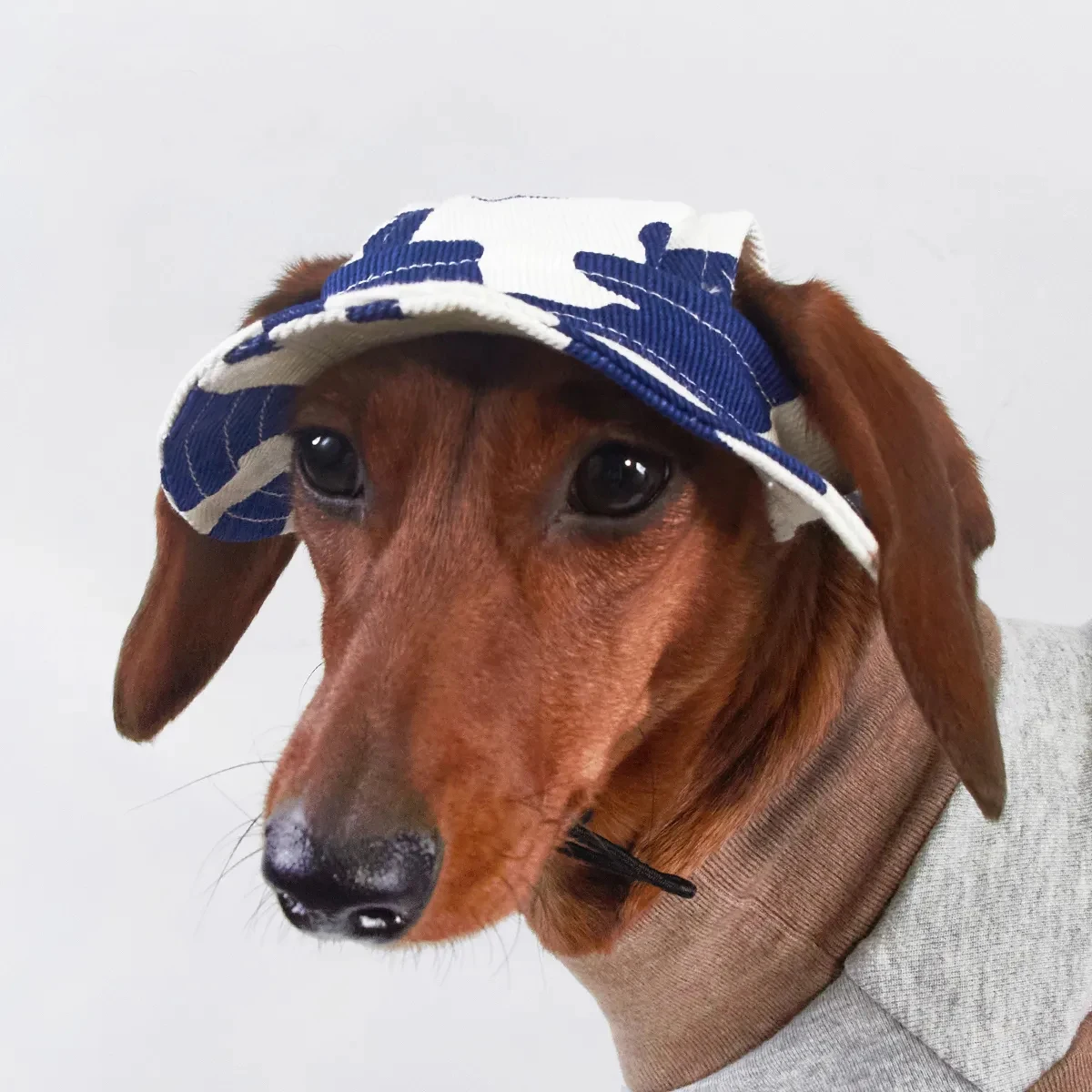 Chapéu Protetor Solar para Cães com Furos para Orelhas Ajustável - Imagem 3