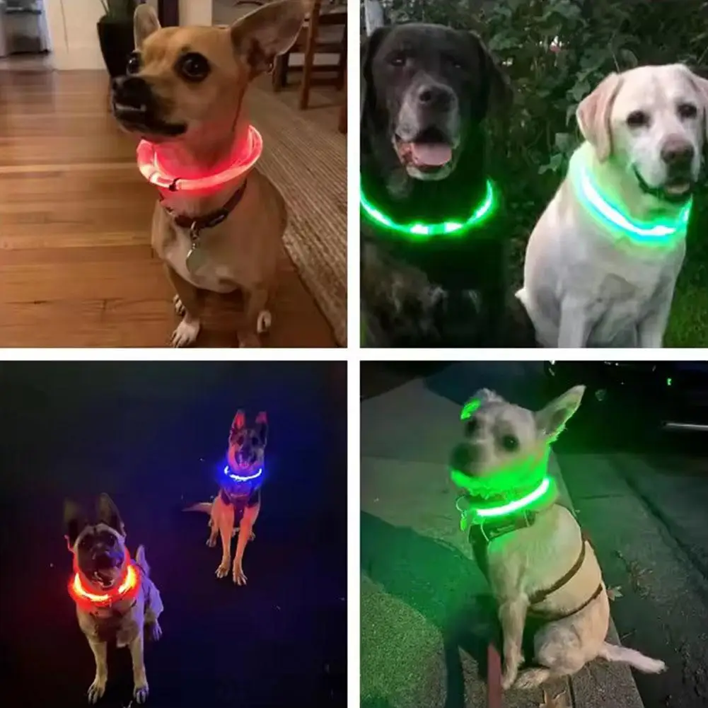 Coleira LED para Cães Recarregável USB Ajustável e Visível - Image 4