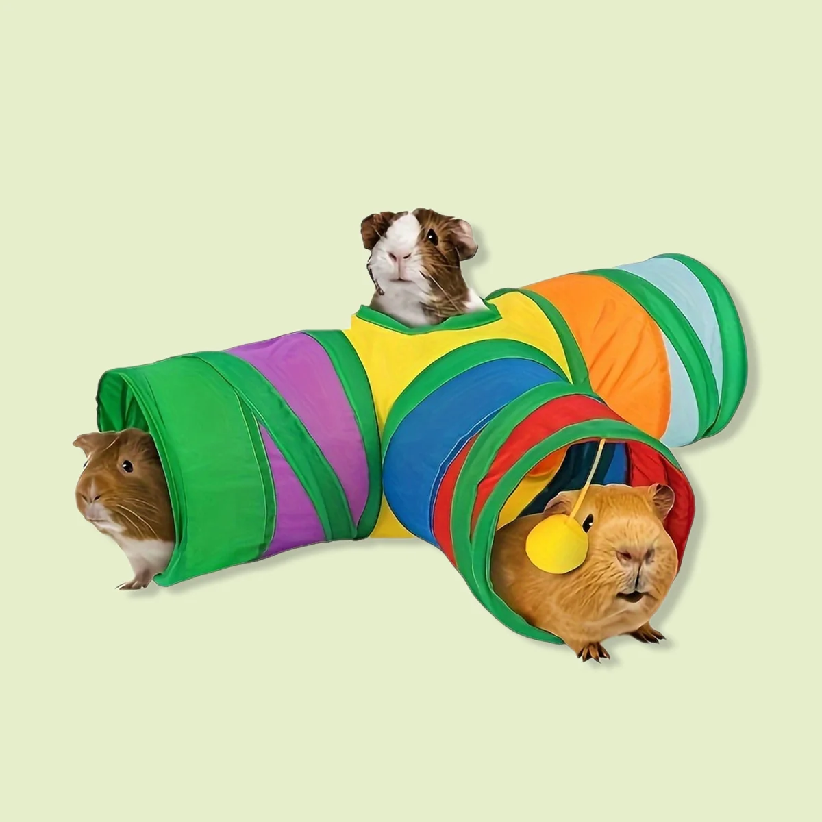 túnel dobrável para hamster porquinho-da-índia