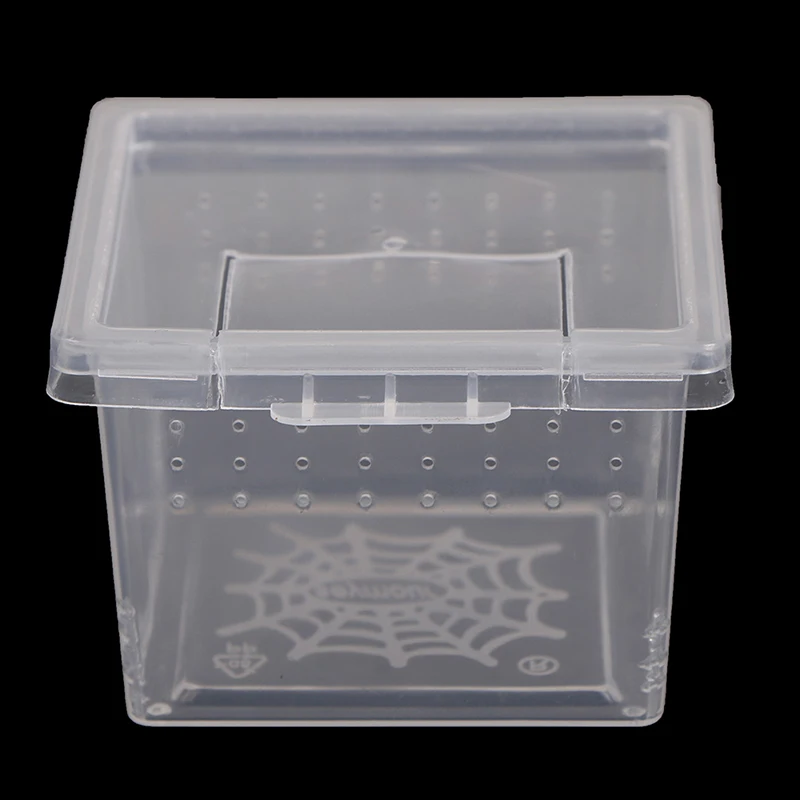 Caixa de Plástico Transparente para Insetos e Aranhas - Imagem 3