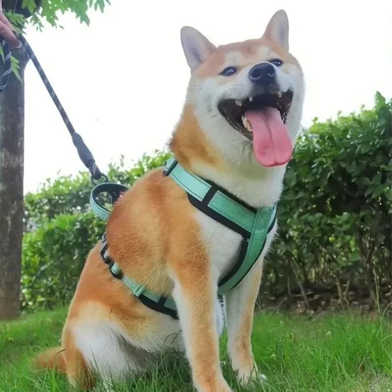 Colete para Cães Pequenos e Médios de Nylon Refletivo com Alça - Imagem 2