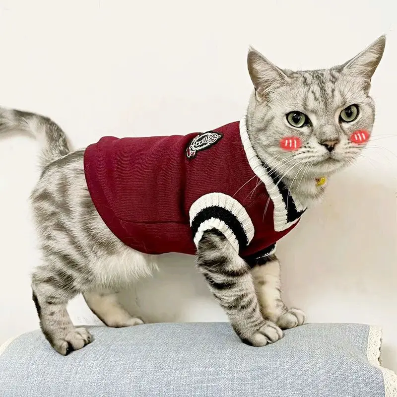 Suéter de Malha para Cães Pequenos e Médios Acolchoado - Imagem 4