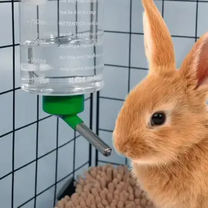 bebedouro pendurável para coelho