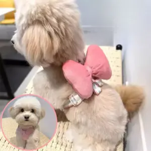 coleira e guia para cães pequenos e médios